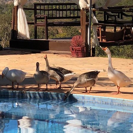 Fazenda Matinha Resort Palmital de Minas Eksteriør billede