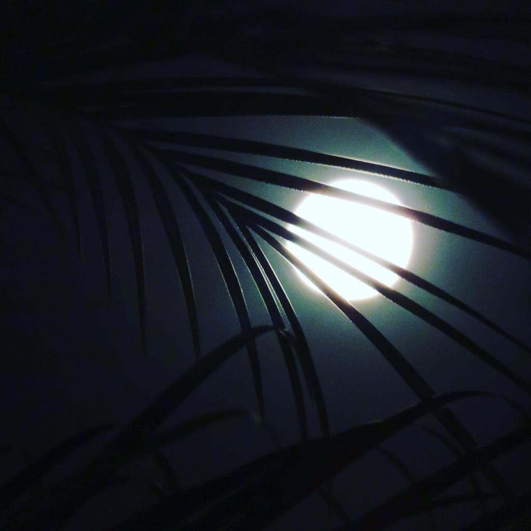 Fazenda Matinha Resort Palmital de Minas Eksteriør billede